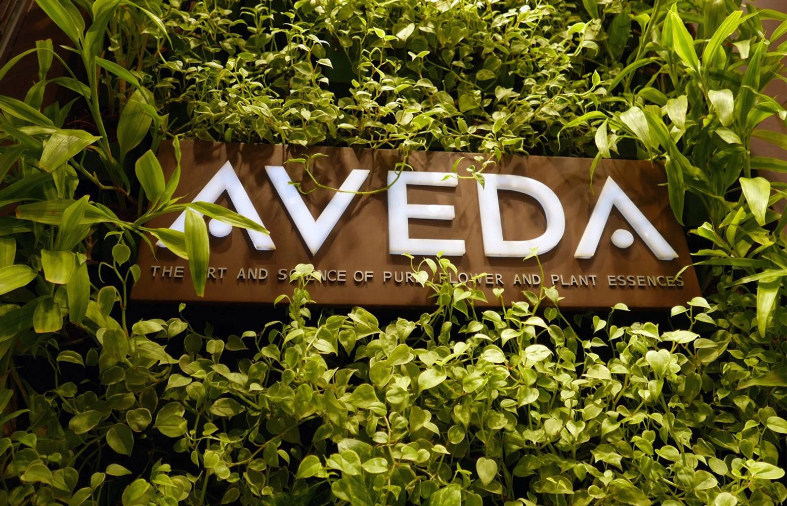 Misapon　　AVEDA Salon, Spa, Massage Therapy - MaxxCole - Pittsburgh, Pennsylvania